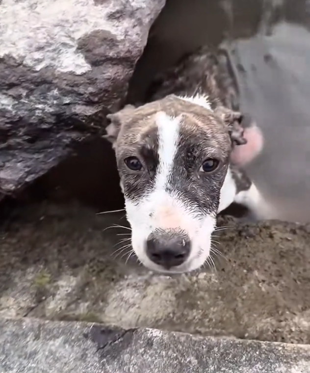 H1002058 Another life caught between time and chance