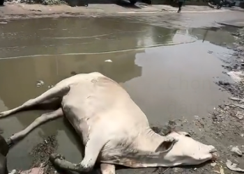 H1603045_The silent suffering in her eyes is finally over. A long road to healing starts with one act of kindness. ���