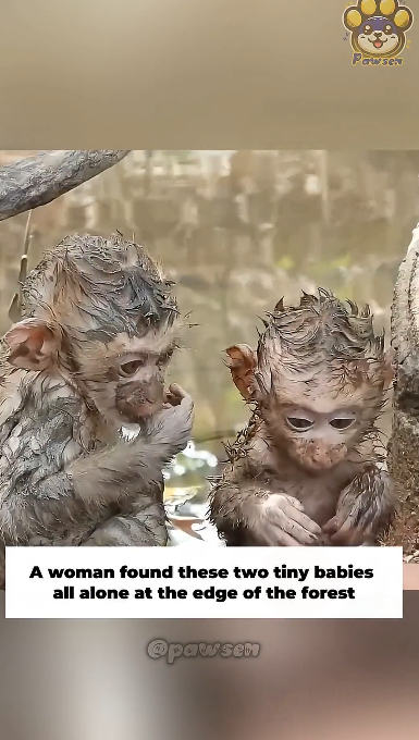 H1603040_No mother to hold him, so he clings to his hero with everything he has. This hug says it all.