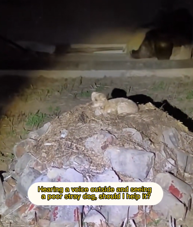 H2802034 Discovered before darkness settled in