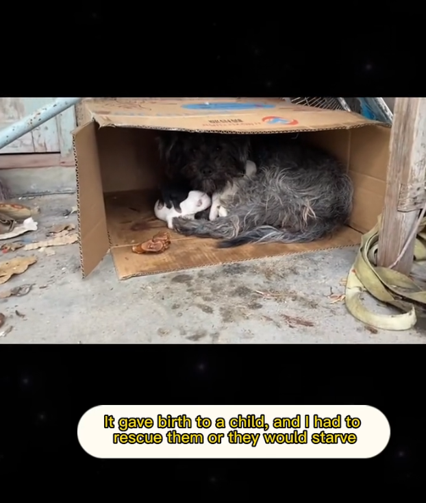 H2802039 Barely holding onto existence