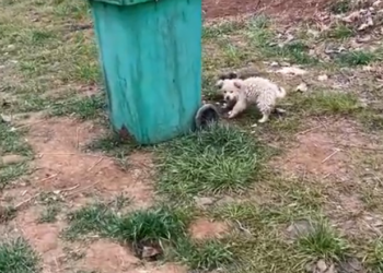 H2802041 A small body pushed too far