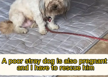 H2802042 The hours had been relentless