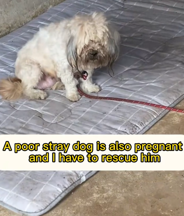 H2802042 The hours had been relentless