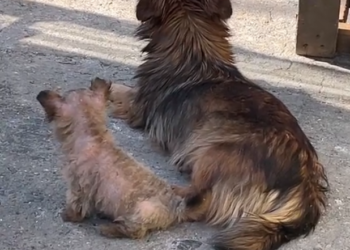 H2802045 Another narrow escape from loss