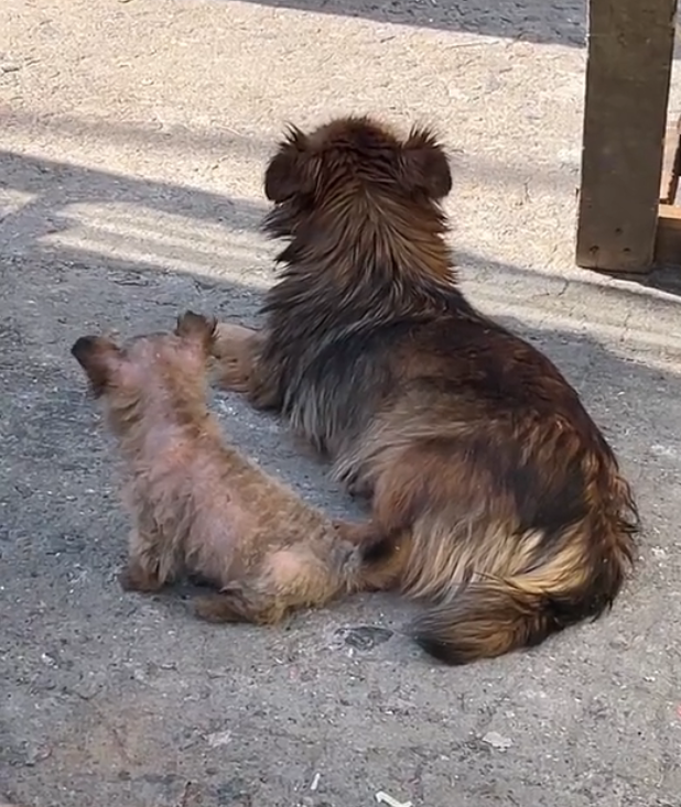 H2802045 Another narrow escape from loss