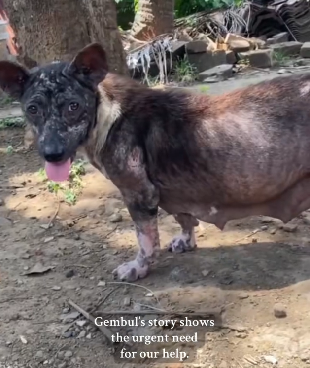 H2802008_Importance of Sterilization in Bali Every day