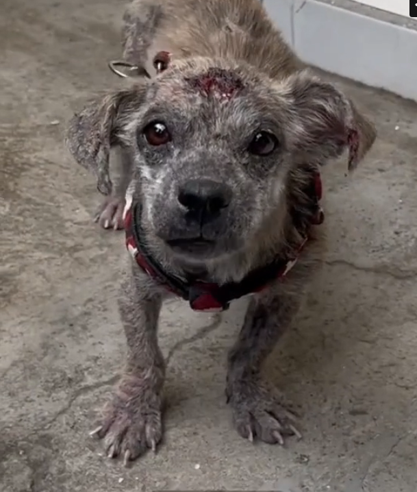 H2802010_Thanks to your support, we re helping animals like