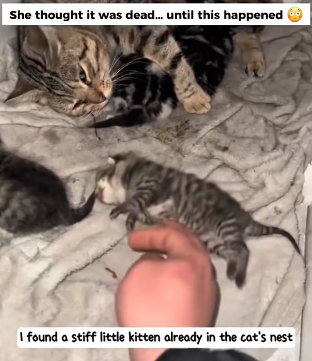 H0303027_Everyone said it was too late but she didn give