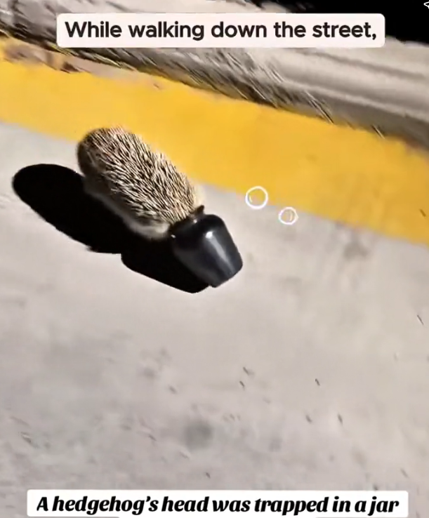 H0303037_He stopped when no one else did is why