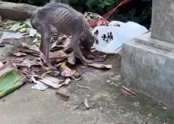 H2802001_Love can rewrite even hardest stories