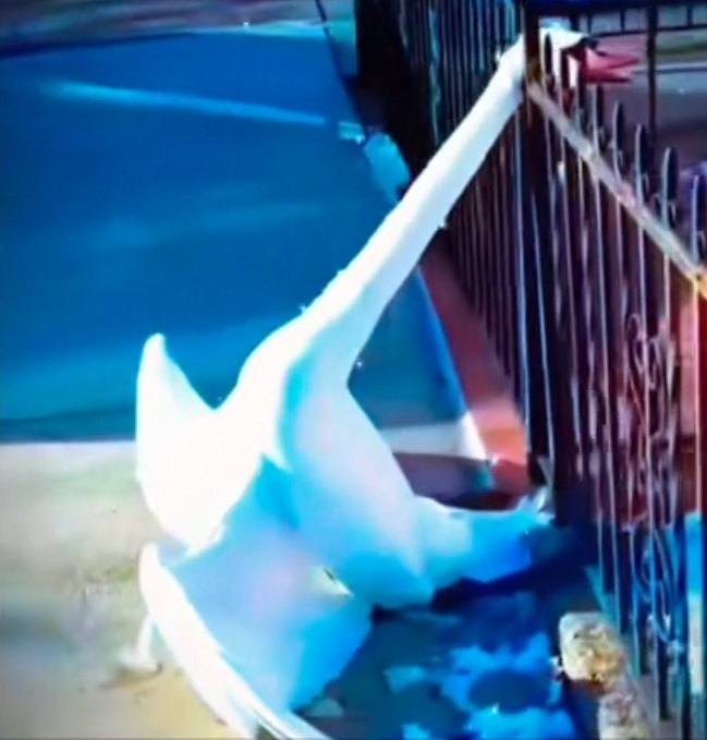 H0303075_nice action #respect #rescue #animal #fypシ viral