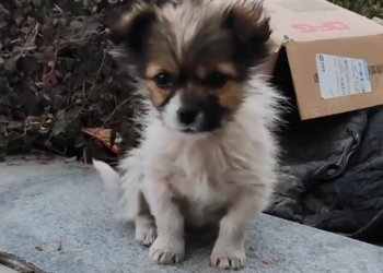 H2802018 Discovered in desperate need