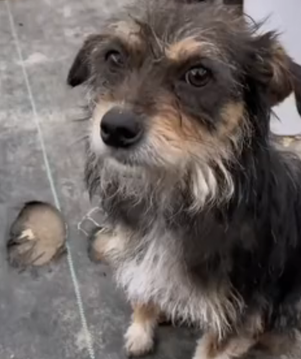 H2802019 The final warning signs were there