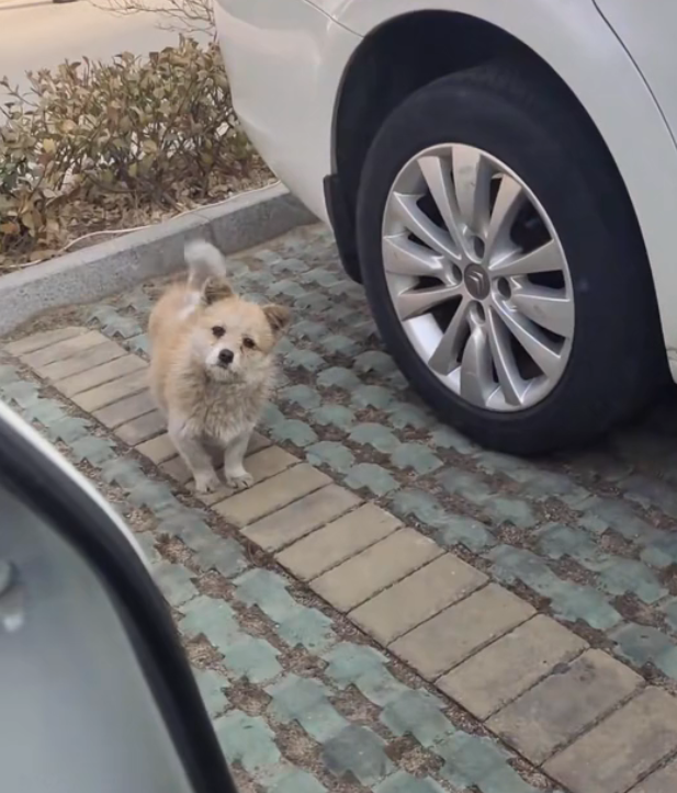 H2802020 Barely surviving the harsh reality