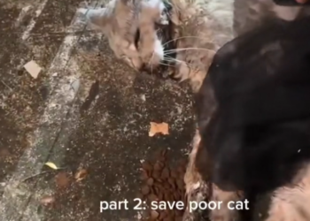 H0503046 The brink of loss was near