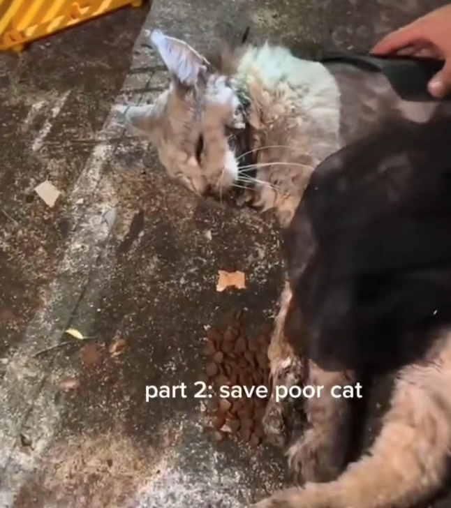 H0503046 The brink of loss was near