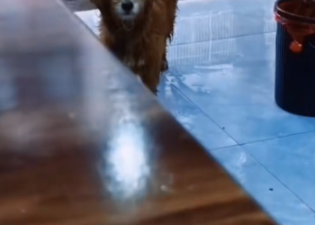 H2802021 Another close call with fate