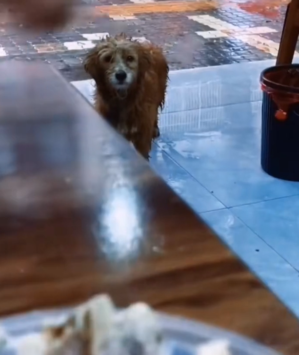 H2802021 Another close call with fate