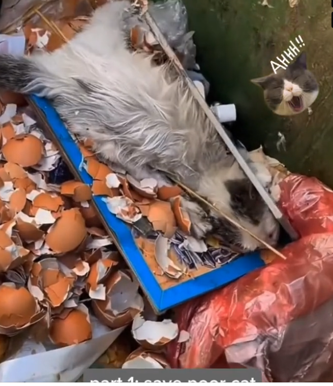 H0503057 No one realized how critical it was