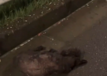 H0503059 The end felt dangerously close