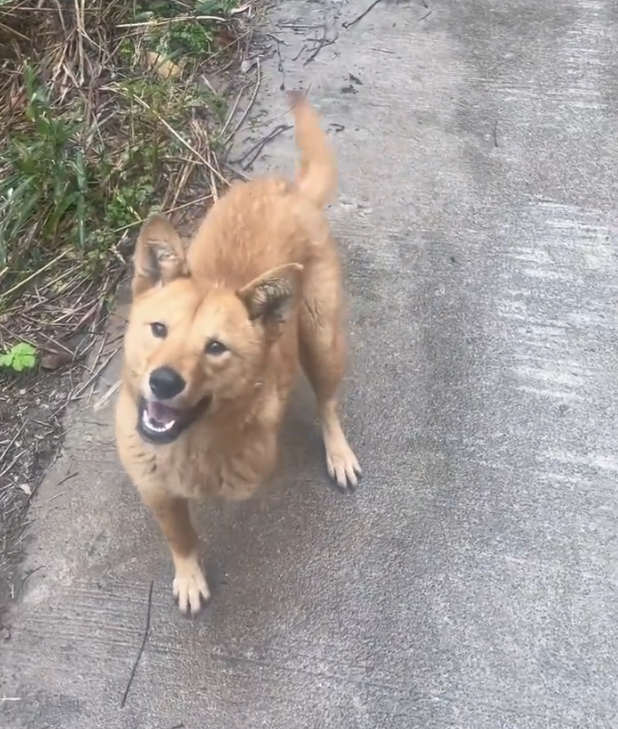 H2802022 The cost of indifference was visible