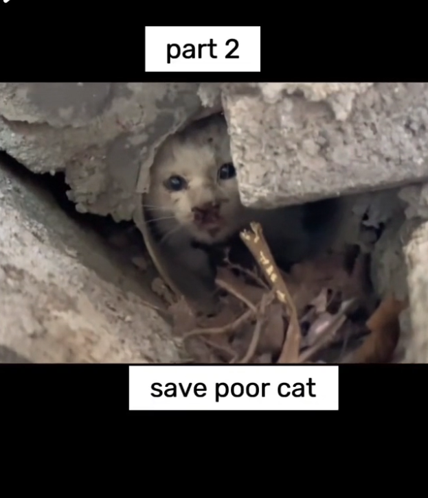 H0503068 Hope was hanging by a thread