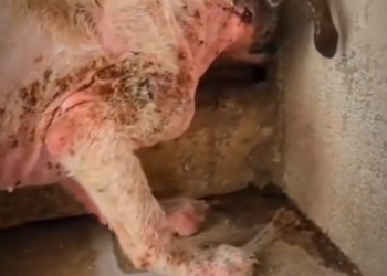 H0503072 Found when strength was almost finished