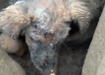 H0503081 Time was no longer forgiving