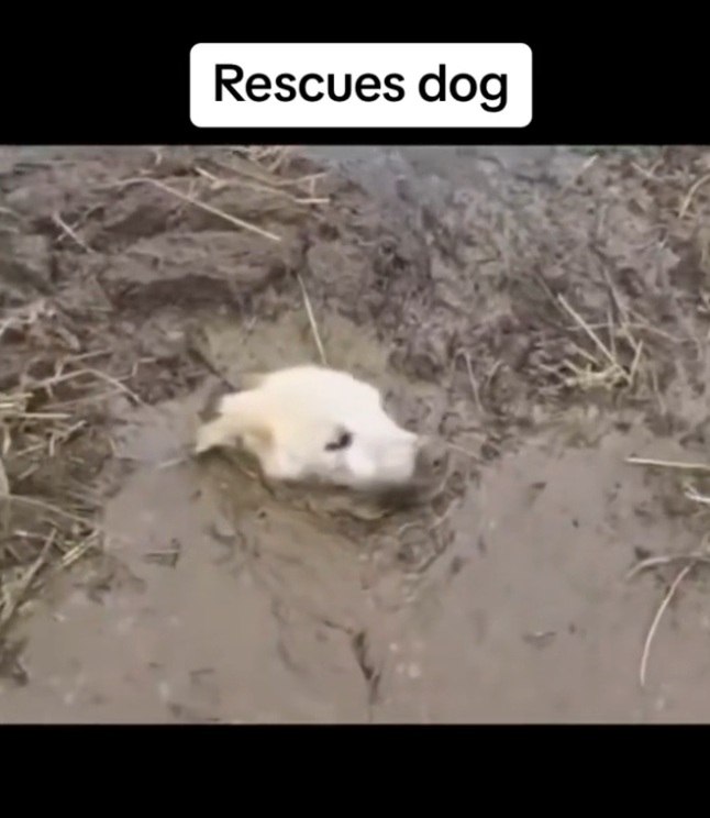 H0503084 The margin between life and loss was shrinking