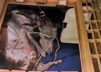 H0503089 Discovered just before surrender