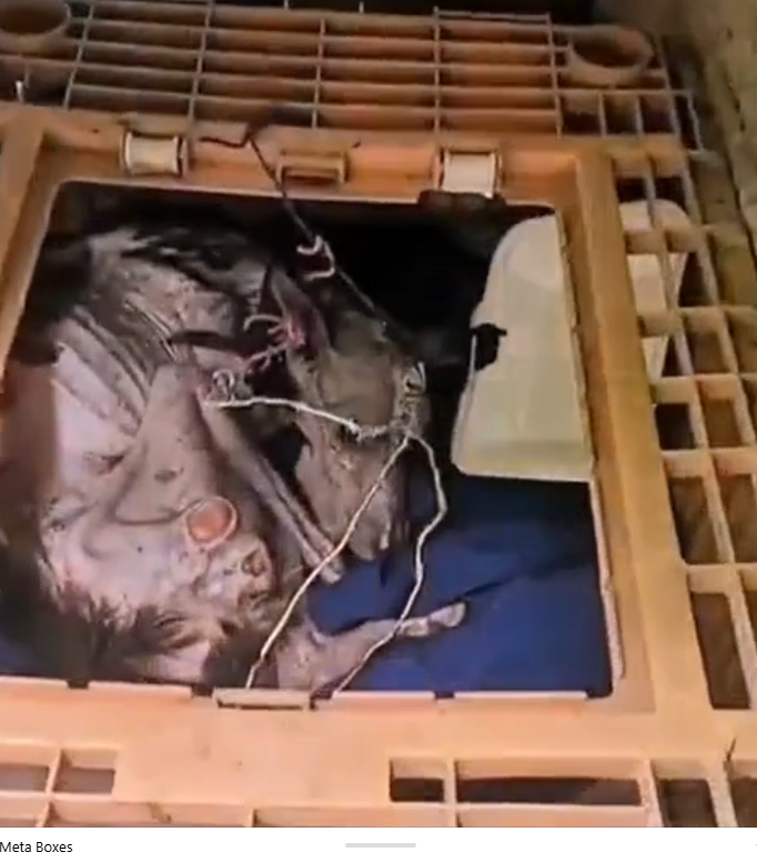 H0503089 Discovered just before surrender