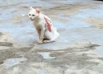 H0503091 The hours had not been kind