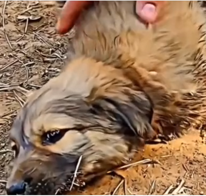 H0503100_story miracle at end of