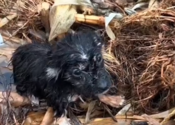 H0503104 No one realized what was happening