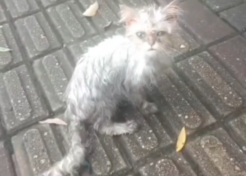 H0503105 This place hid a painful secret