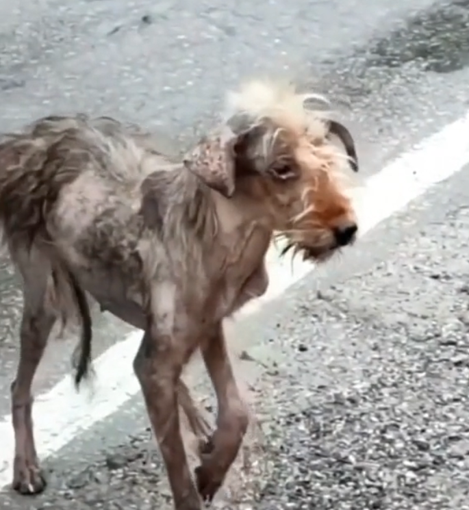 H0503110 Time was slowly working against it