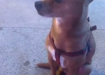 H2802026 A life balanced on the slightest chance