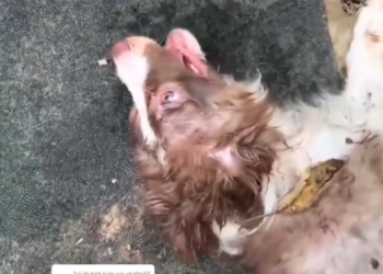 H0503117 Barely responding to the outside world