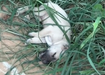 H0503118 This moment nearly came too late