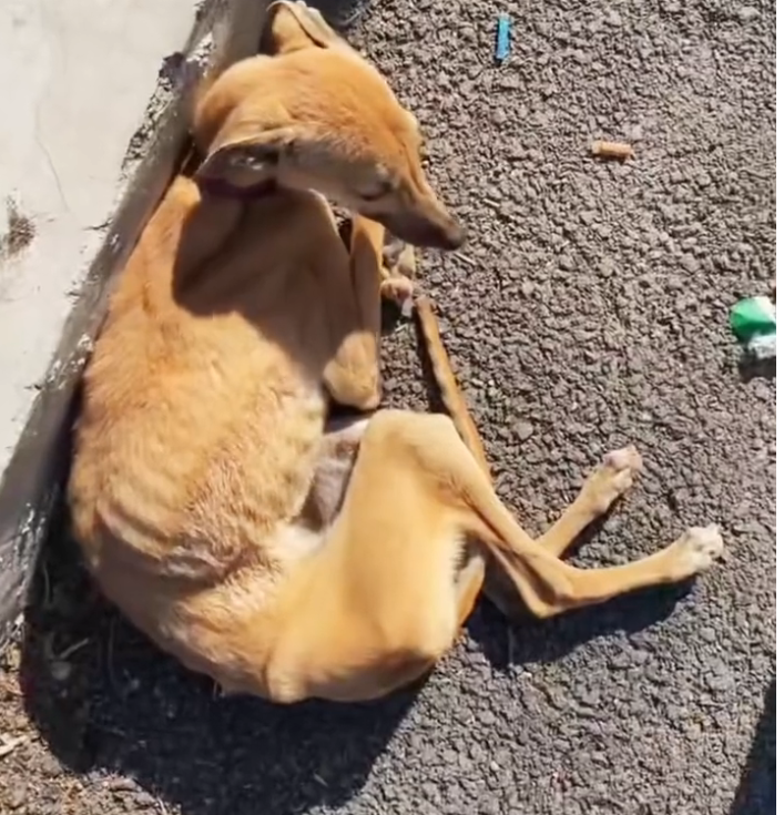 H0503130 The place told a painful story