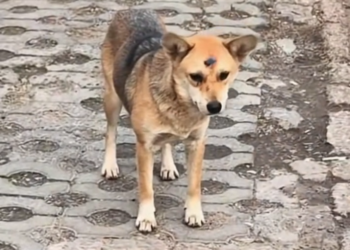 H0503132 Discovered when things looked worst