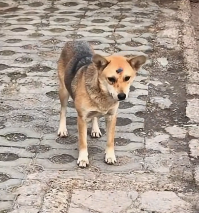 H0503132 Discovered when things looked worst