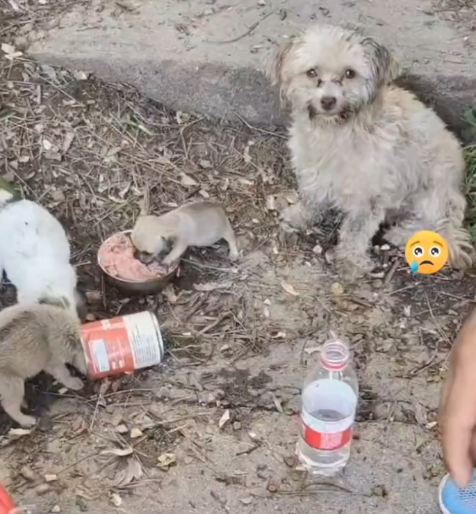 H0503142 Rescue came at a crucial second