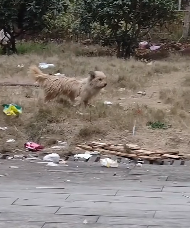 H2802029 The struggle was nearly invisible