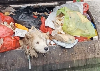 H0503152 Time had nearly run out