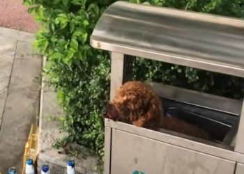 H0503153 The moment demanded immediate help