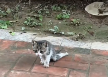 H0503157 The silence around it was heavy