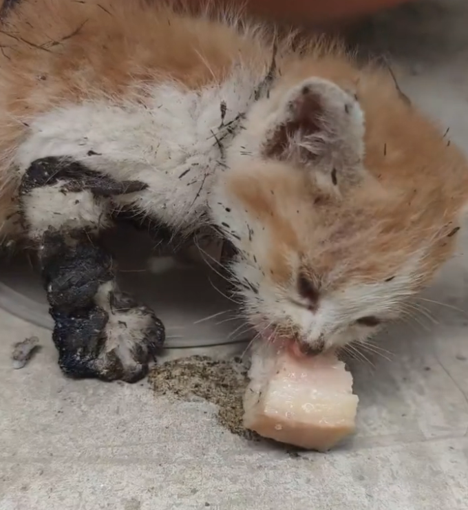 H0503160 The condition was alarming