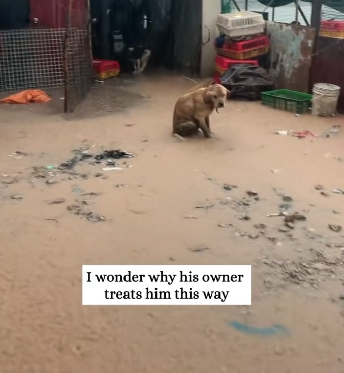 H0503161 Another life almost beyond saving